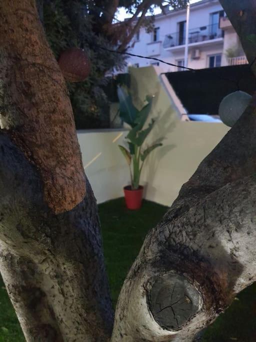 Superbe appartement avec jacuzzi et extérieur Perpiñán Exterior foto